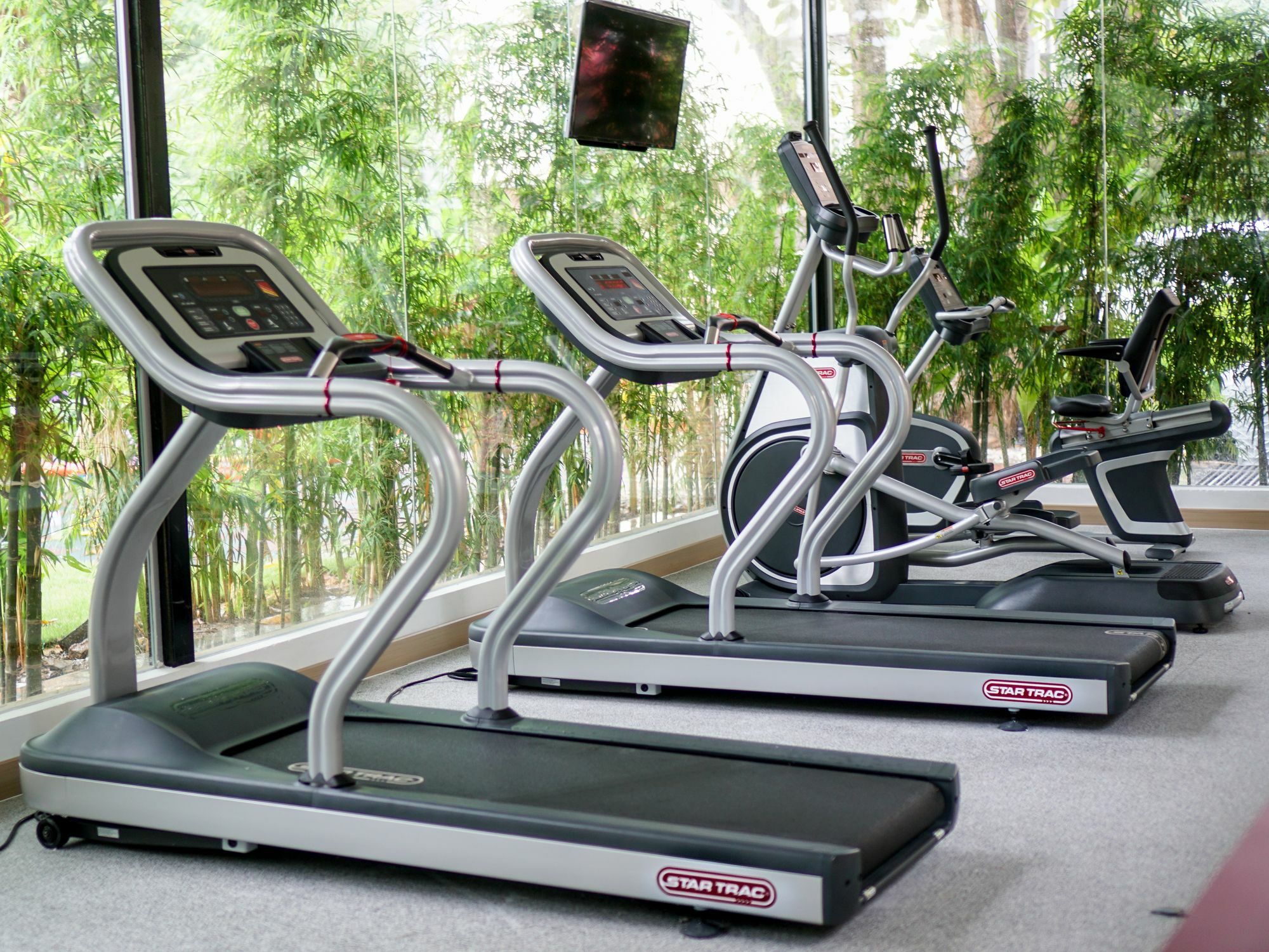 Ibis Malacca